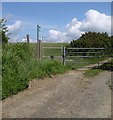 Footpath past Ffynnonfelen