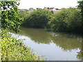 View of the canal from the path on the N side