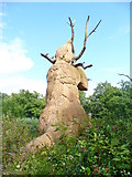 TQ3470 : Tree Hugger by Colin Smith