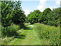 Looking W along the Royal Military Canal Path