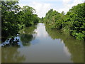 View W along the Royal Military Canal from footbridge