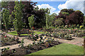 Rose memorials, Breakspear Crematorium, Ruislip