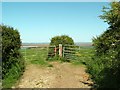 NY2560 : Footpath from Glasson to the Solway shore by Rose and Trev Clough
