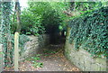 Beginning of the sunken path at Somerhill