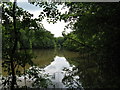 Lake near Leverance Copse