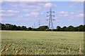 Looking across an arable field to electricity pylons