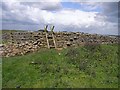 NY9986 : Ladder stile on the St Oswald's Way by Oliver Dixon