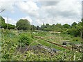 Allotments - Low Moor Street