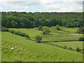 Farmland near the A170