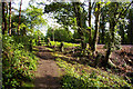 Footpath to Spring Gardens