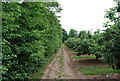 The Tunbridge Wells Circular Path passes through Orchards