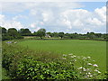 SO6048 : Fields East Of The A465 by Peter Whatley