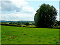 Pasture land south of Burley Gate