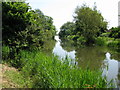 Looking E along the Royal Military Canal