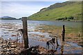 Old Fence Posts, Loch Long