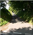 Country road near Rhydowen