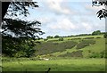 Hillside near Gellihen