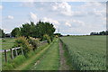 Looking South towards New Wrights Farm