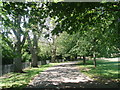 Path in Hove Park