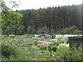 Allotments, Pollok Park