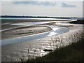 The Taw estuary