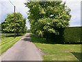 Avenue at Waldegrove Farm leading to Milland Road