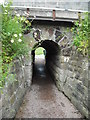 Tunnel under railway