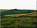 Undulating farmland near Woodsend