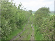 R2391 : Muddy track near Knockeighra by David Medcalf