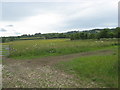 Grazing meadows adjacent to a public footpath