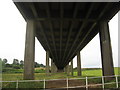 Underneath the Arches, the A370 near Long Ashton