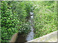 The Ashton Brook flows out of Long Ashton and under Yanley Lane