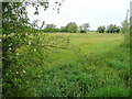 Meadows west of the High Bridge, Cricklade