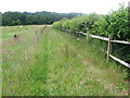 Footpath near Shedfield