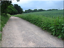 SU5710 : Track to Castle Farm by Chris Wimbush