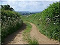 Footpath, Hinton St Mary