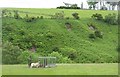 Landslips, Oldhamstocks Burn