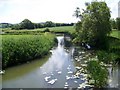 River Stour near Marnhull