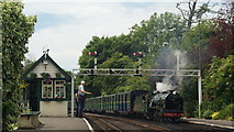 TR1534 : Train Arrives at Hythe by Peter Trimming