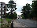 Hill past Holywell Park