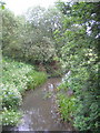 The River Mole at Horley