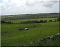 View across farmland in the direction of Clwch Dernog