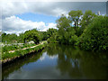 Staffordshire and Worcestershire Canal at Coven Heath, Staffordshire