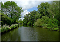 Staffordshire and Worcestershire Canal at Coven Heath, Staffordshire