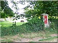 Postbox, Friar Waddon