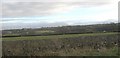 View across farmland from Dolfeurig towards Llangefni