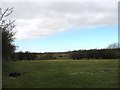 Grazing land west of the road