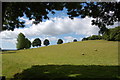 Fields near Hare Farm