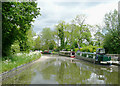 Staffordshire and Worcestershire Canal near Cross Green, Staffordshire