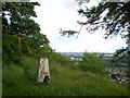 Trig point near The Hermitage